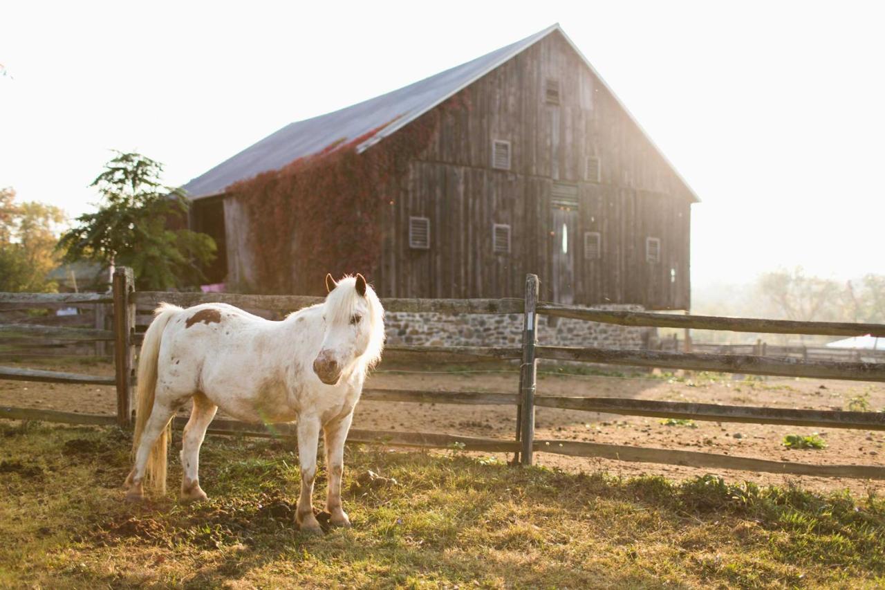 Gettysburg Battlefield Bed & Breakfast Inn מראה חיצוני תמונה